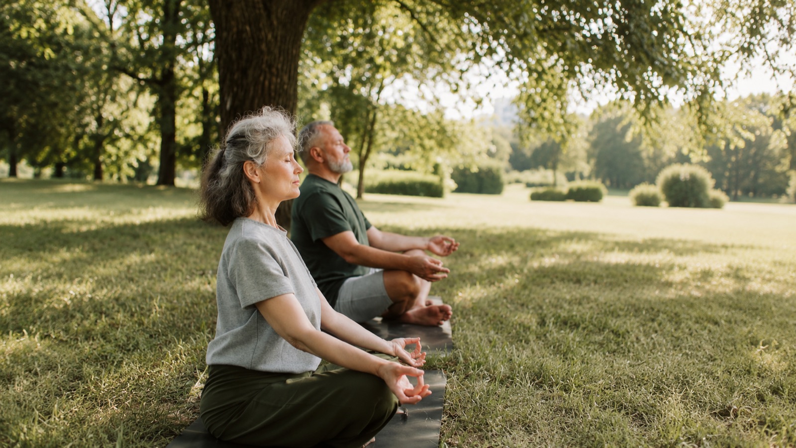 Older couple meditating outdoors in a park